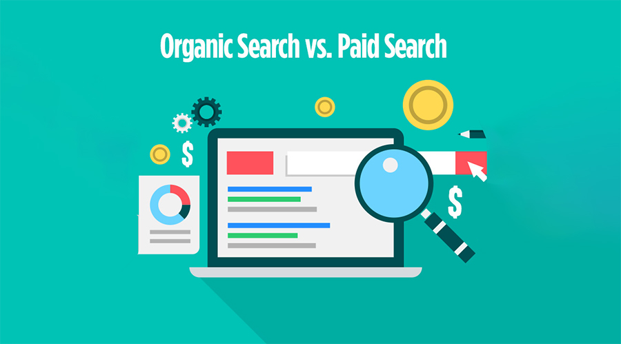 Organic Search vs paid search: